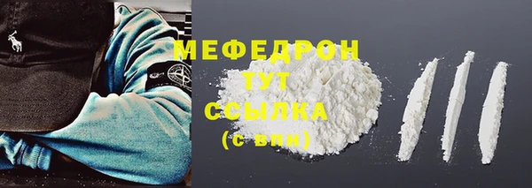 шишки Новодвинск