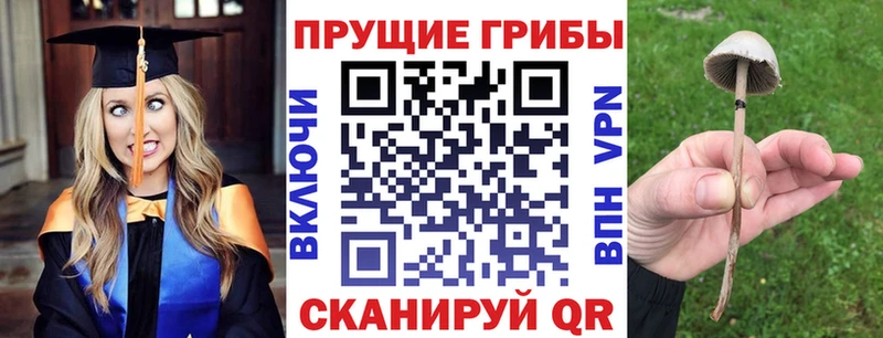 OMG сайт  Юхнов  Галлюциногенные грибы мицелий 